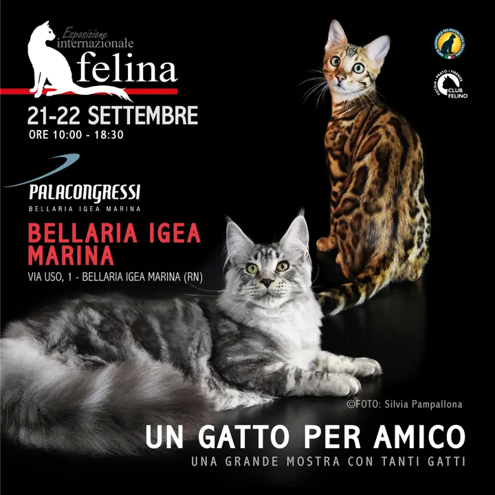 Expo Felina  | Bellaria Igea Marina 21-22 settembre